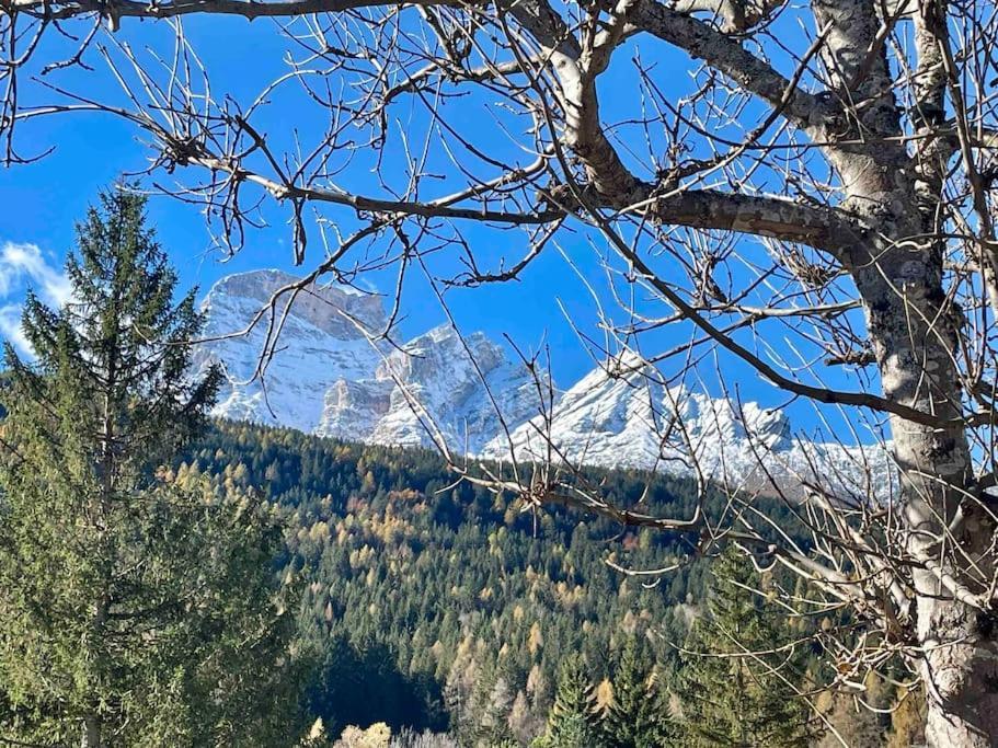 Home In Dolomiti Villanova  エクステリア 写真